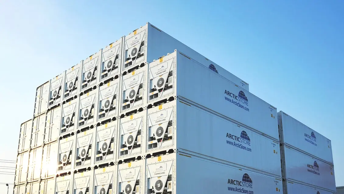 40ft ArcticStore Conteneurs à louer Stockage frigorifique imbattable