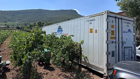 Stockage frigorifique ArcticStore dans des exploitations viticoles grecques – Conteneurs frigorifiques