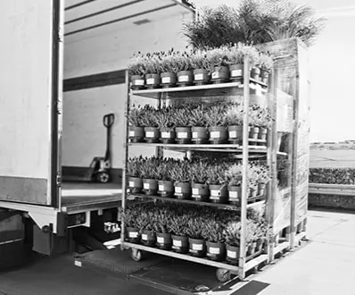 Secteur agricole – Stockage frigorifique